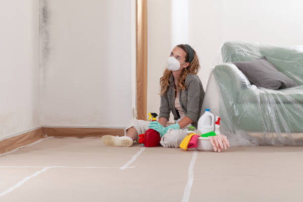 Reliable Attic Mold Removal contractor in Princeton, TX by WQB Mold Removal